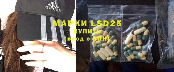 прущие грибы Баксан