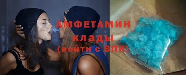 прущие грибы Баксан
