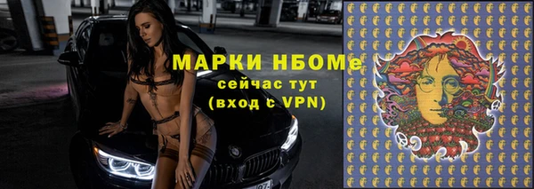 прущие грибы Баксан