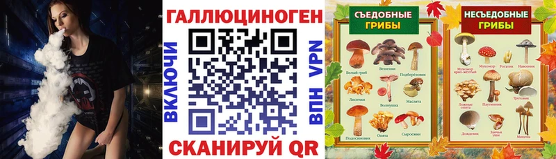 OMG   Великие Луки  Псилоцибиновые грибы Psilocybine cubensis  купить  